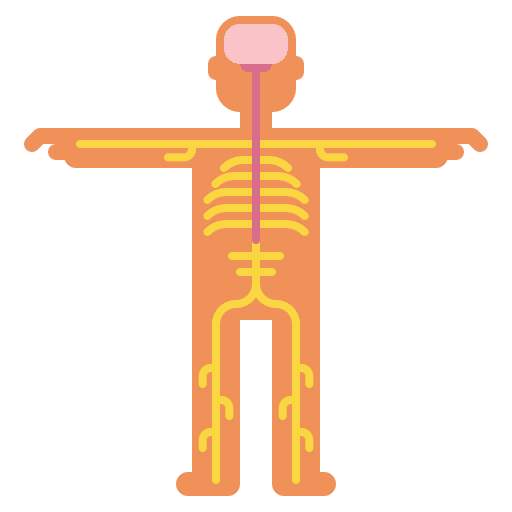 Nervous system healthcare and medical brain body organ icon