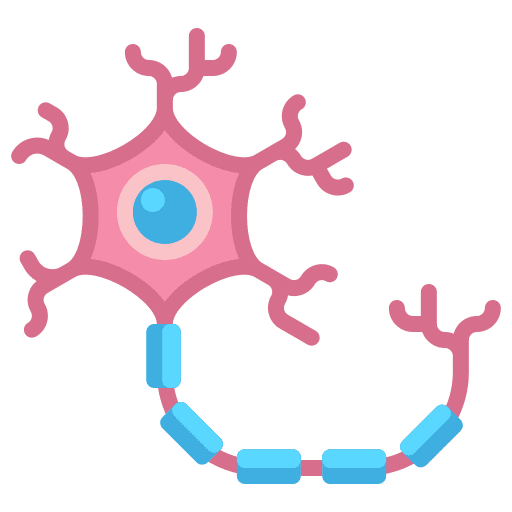 Neuron anatomy neuron human icon