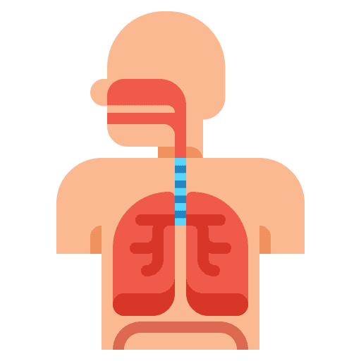 Respiratory system disease respiratory system lungs icon
