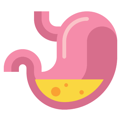 Stomach anatomy pain gastroenterology icon