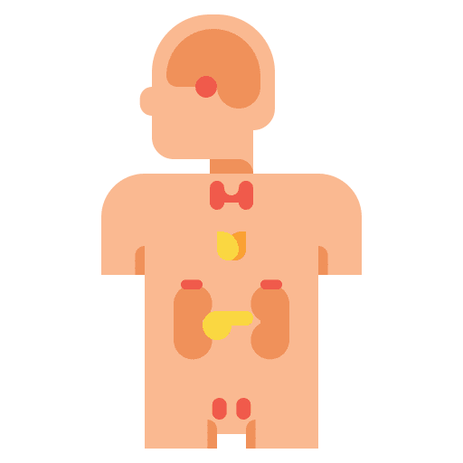 Endocrinology cell cells scientist icon