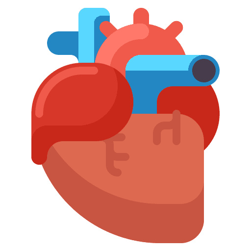 Heart hearts organ healthcare and medical icon