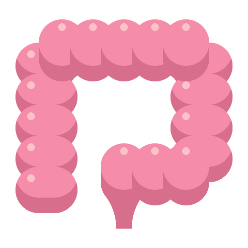 Intestine colon appendix intestine icon