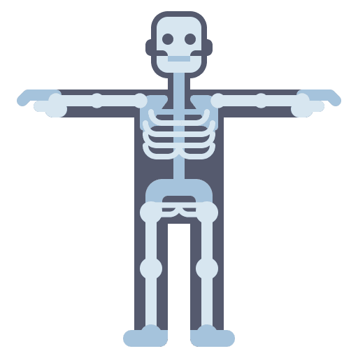 Skull skeleton head skull icon