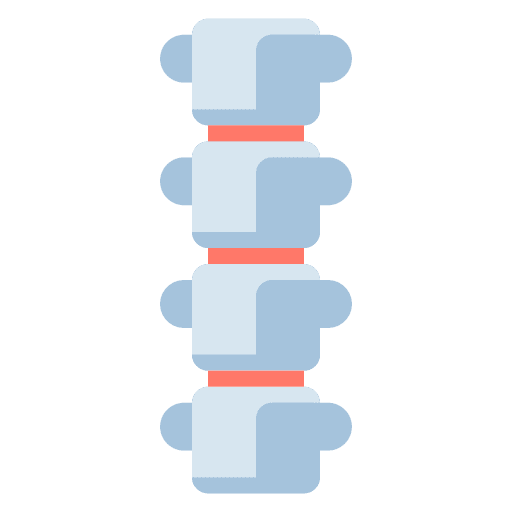 Spine spines healthcare and medical spine icon