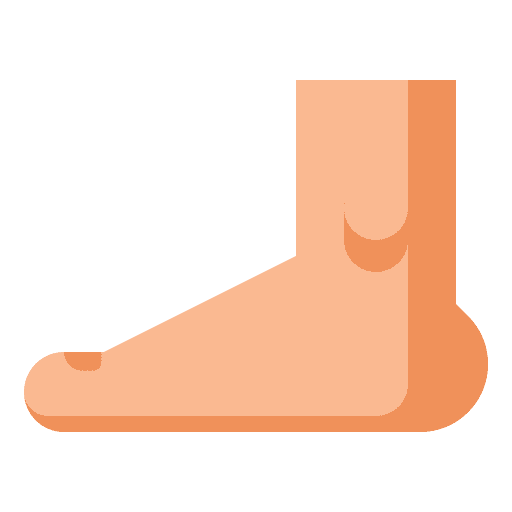 Foot leg anatomy foot icon