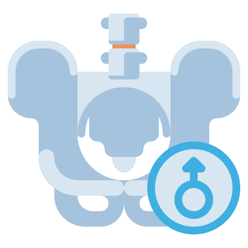 Pelvis healthcare and medical bone anatomy icon