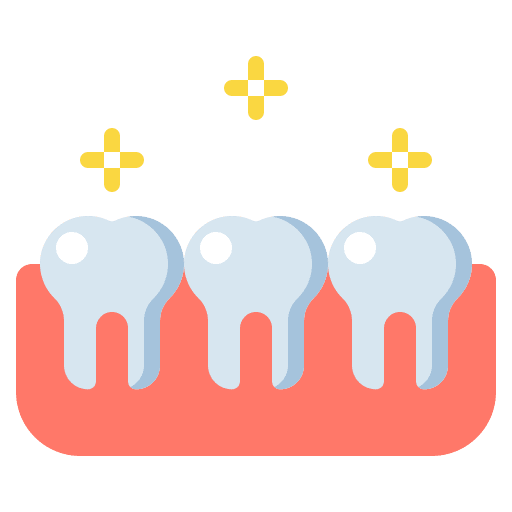 Teeth anatomy dentist healthcare and medical icon
