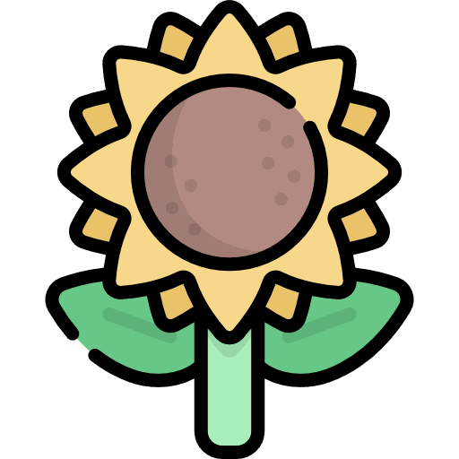 Sunflower nature botanical flowers icon