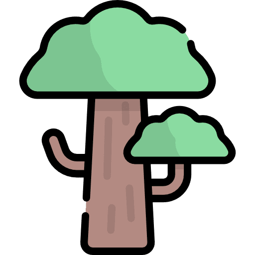 Tree gardening botanical garden icon