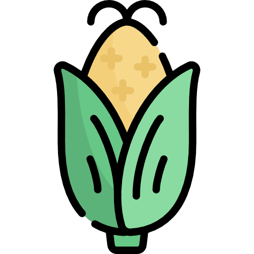 Corn corn food healthy food icon