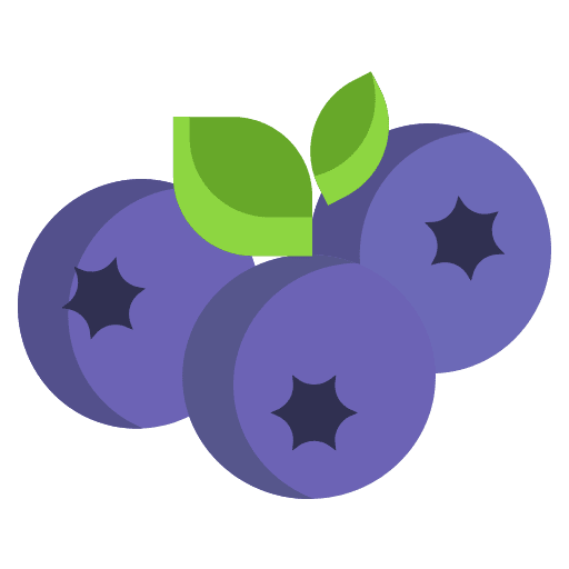 Blueberry healthy fruit farming and gardening icon