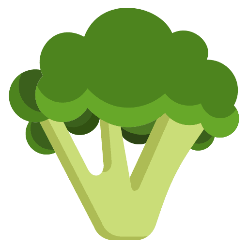 Broccoli organic farming and gardening broccoli icon