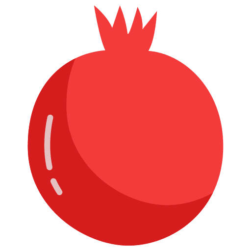 Pomegranate vegan diet fruit icon