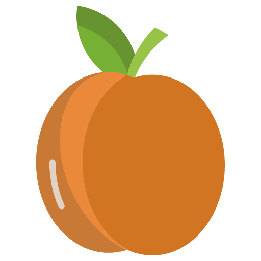 Apricot food and restaurant organic fruit icon