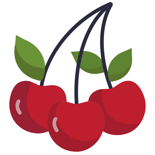 Berry fresh cherry berry icon