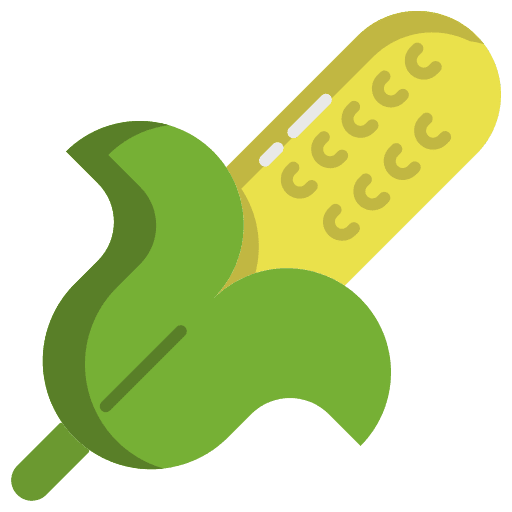 Corn healthy food vegan farming and gardening icon
