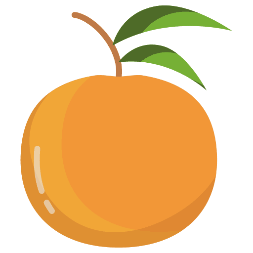 Orange orange vegetarian fruit icon