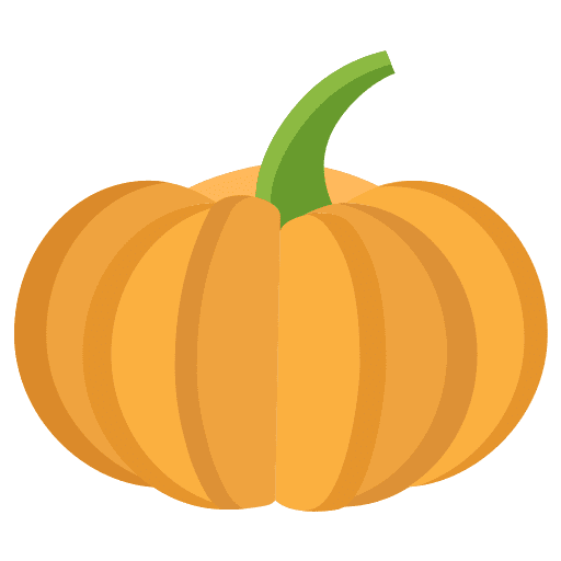Pumpkin vegan vegetarian fruit icon