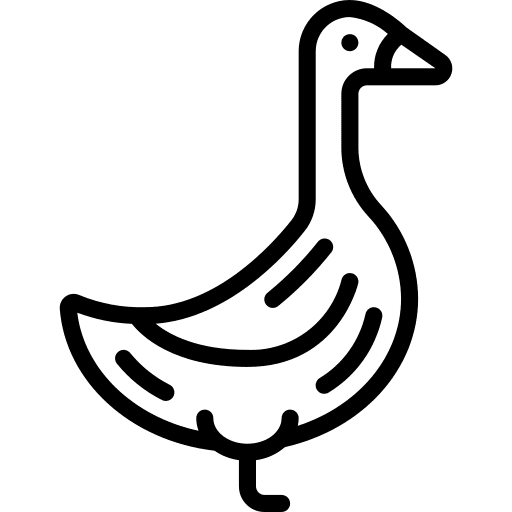 Goose duckling duck ducks icon