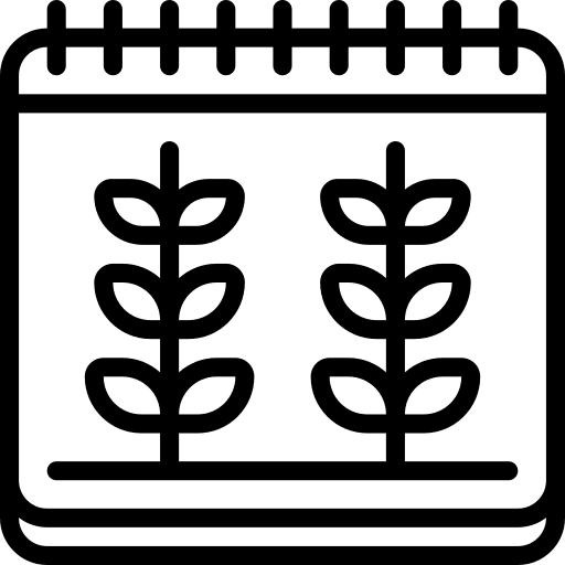 Date date time calendars icon