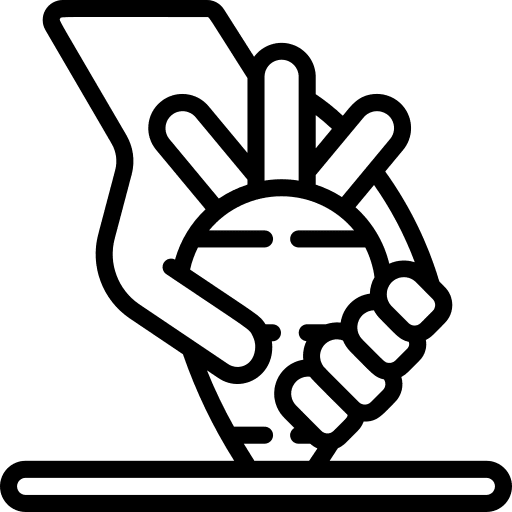 Carrots carrots healthy food organic icon