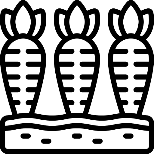 Carrots diet vegetable carrots icon