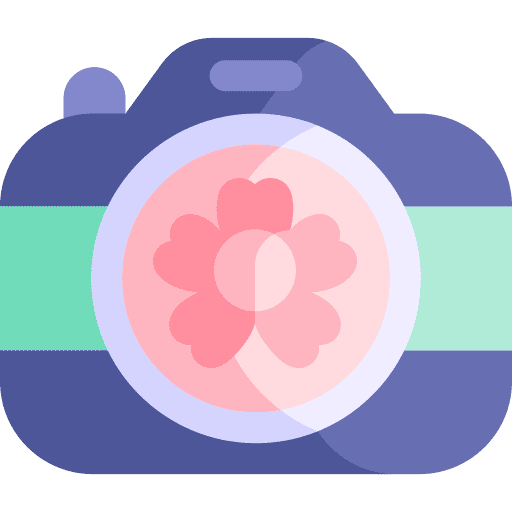 Camera japan japanese sakura icon