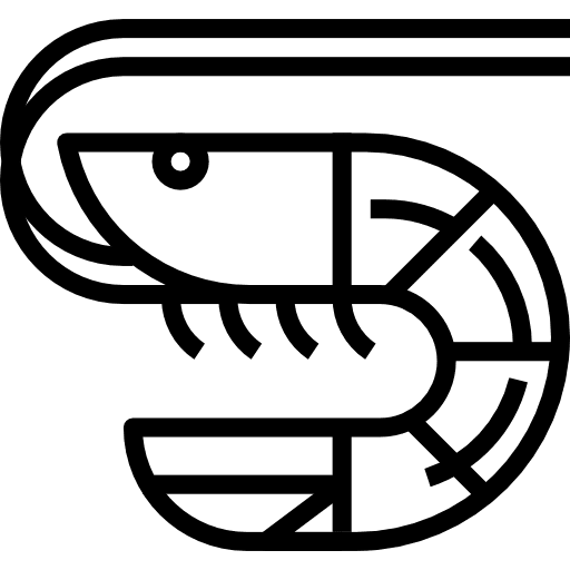 Shrimp animals shrimp shellfish icon