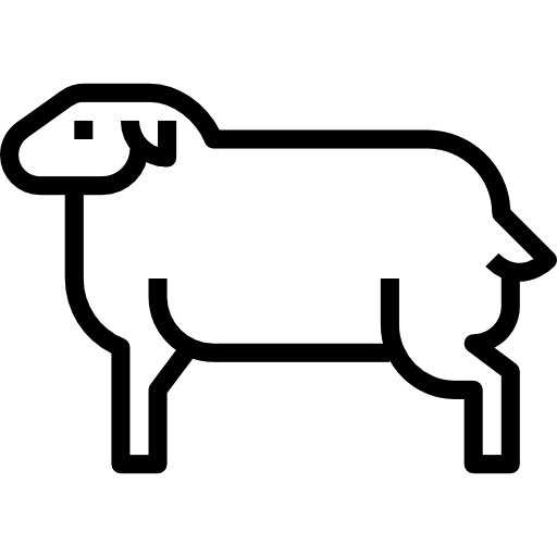 Sheep animals food and restaurant mammals icon Sheep animals food and restaurant mammals icon