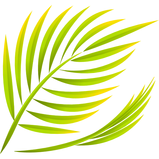 Palm summertime palm tropical icon