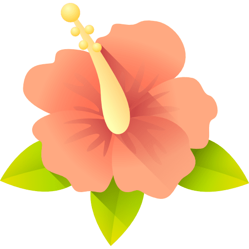 Hibiscus blossom petals nature icon