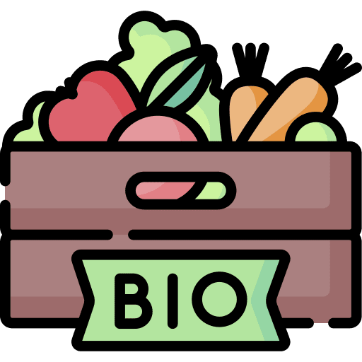 Bio food fruit natural icon