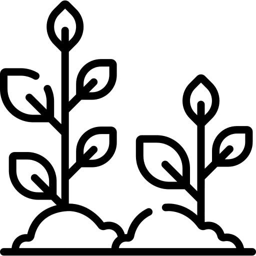 Sprout green sprout summer icon