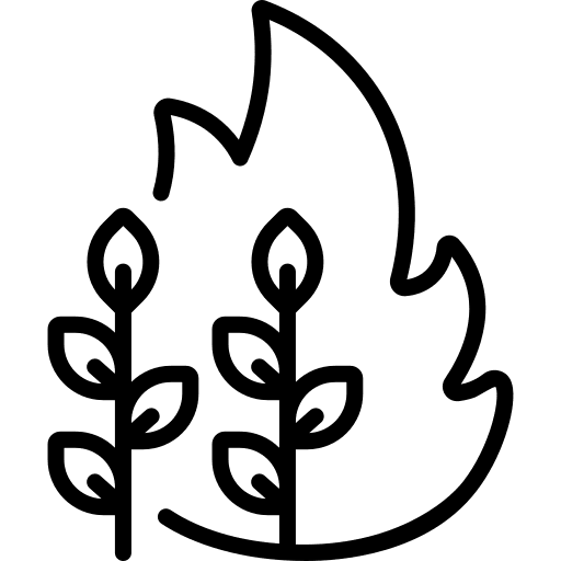 Harvest fire sprouts ecology and environment icon