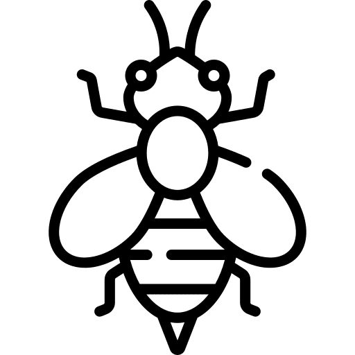 Bee fly season ecology and environment icon