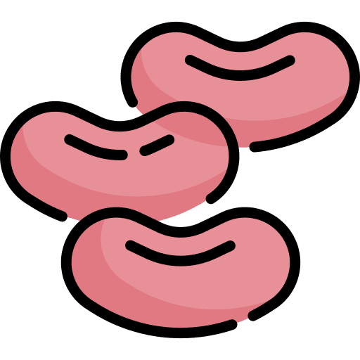 Beans food and restaurant bean vegetarian icon