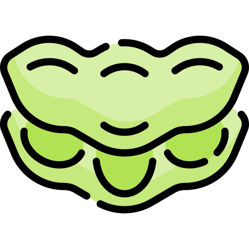 Beans food and restaurant soya vegan icon