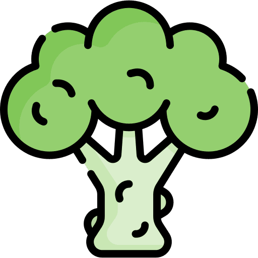 Broccoli supermarket vegan healthy food icon