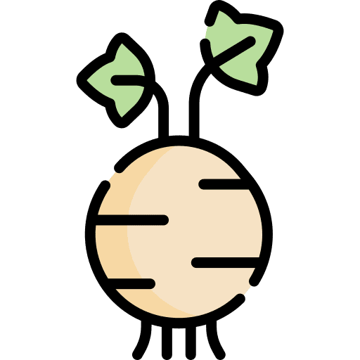 Celery root vegetable food and restaurant celery root icon