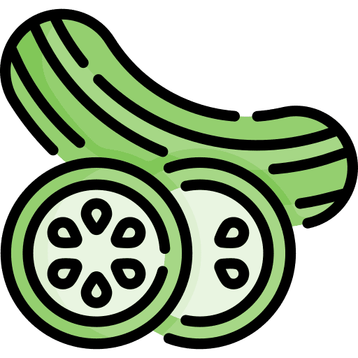Cucumber vegetarian diet fruit icon
