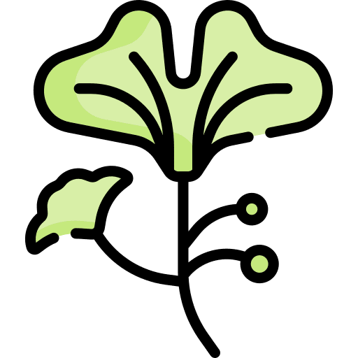 Ginko garden fall autumn icon