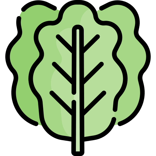 Kale mustard greens vegetable mustard icon