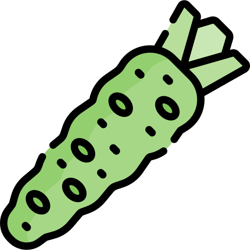 Wasabi spicy japan spice icon