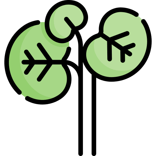 Watercress watercress veggie leaf icon