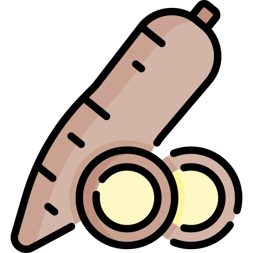 Yucca healthy food vegan vegetarian icon