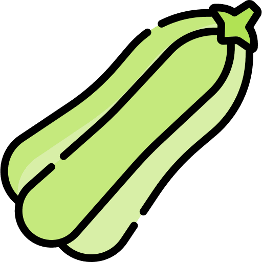 Zucchini fruit organic vegan icon