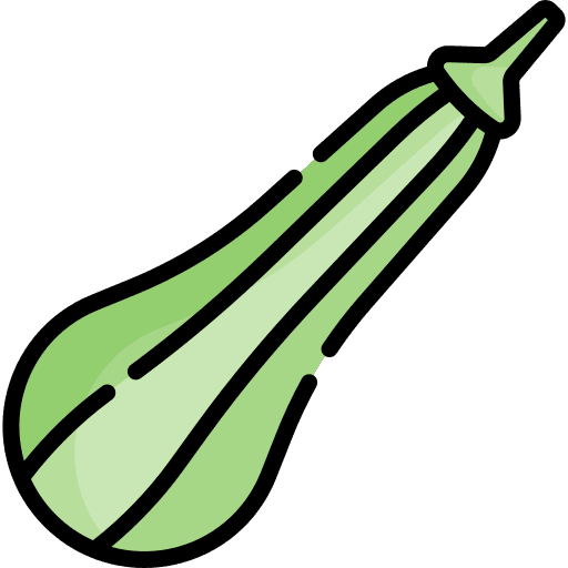 Zucchini healthy food fruit vegan icon