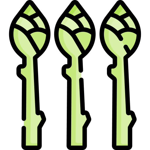 Asparagus food and restaurant diet vegetable icon