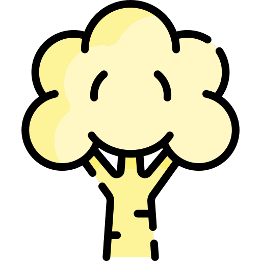 Cauliflower organic healthy vegetable icon